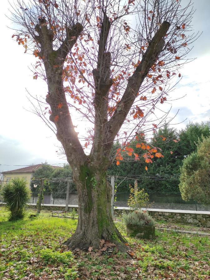 Quinta do Gestal Vila Verde (Braga) Exterior foto